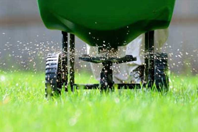 Why should I fertilize my lawn? Is it really necessary?
