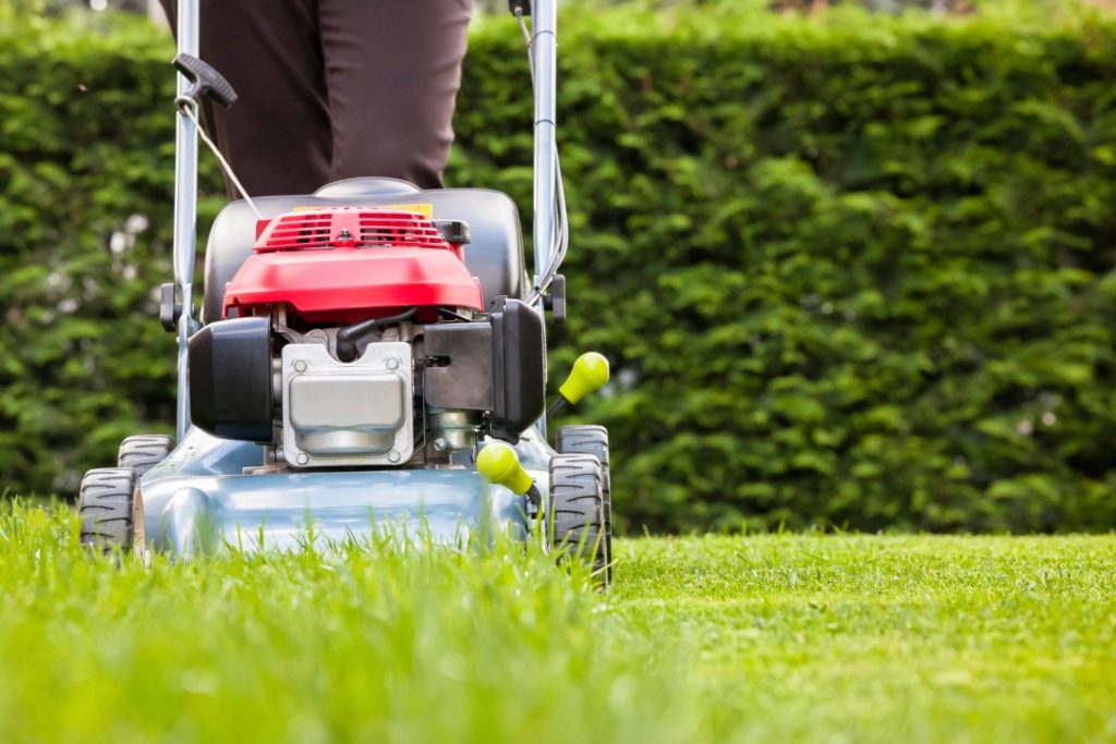 how-often-should-i-mow-my-lawn-weekly-or-bi-weekly-lawnexpert