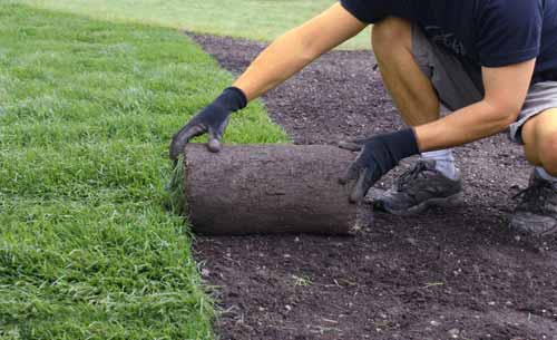Benefits Of Sodding Your Lawn