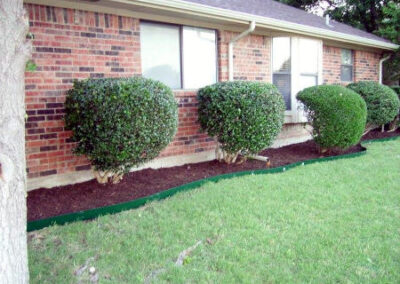 Landscaping / Lawn Care - Lawn Expert - DFW Texas